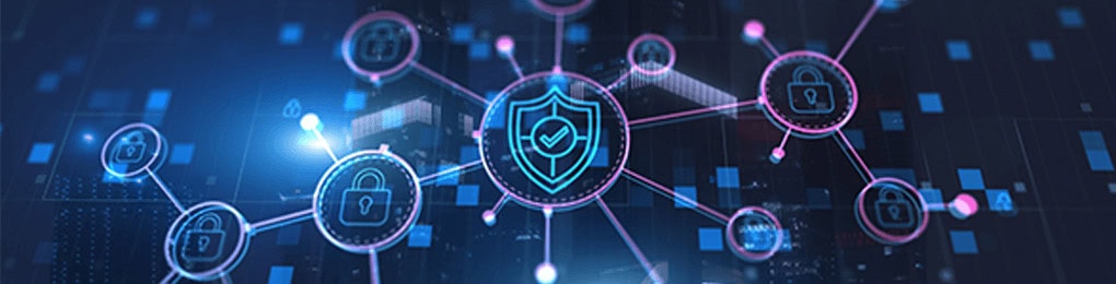 shield with a checkmark inside it connected to locks by lines